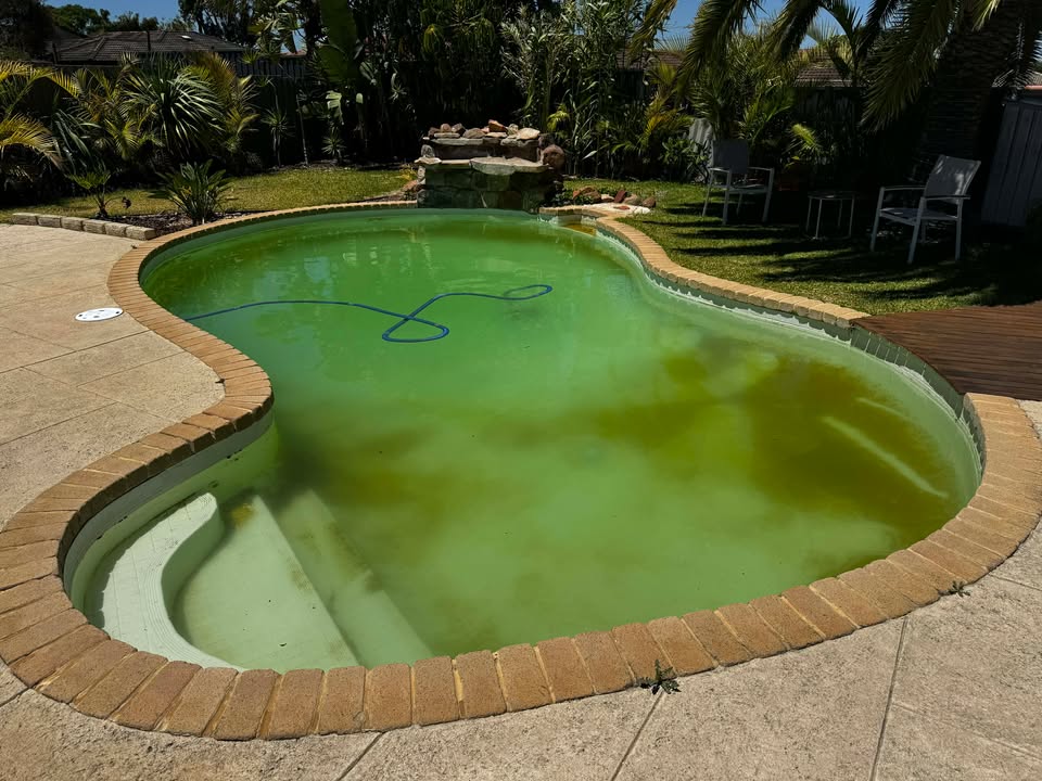 Green Pool Cleanup - Craigie